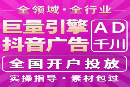 竞价广告的智能投放：XX平台的创新实践